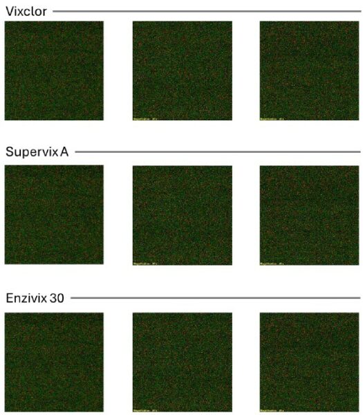 Avaliação qualitativa através da análise da superfície por microscopia de fluorescência