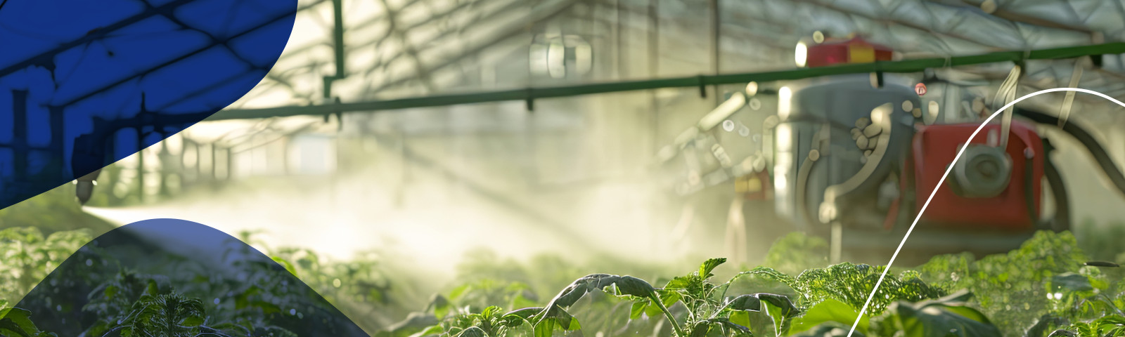 Desinfeção Ambiental em Câmaras e Salas de Produção